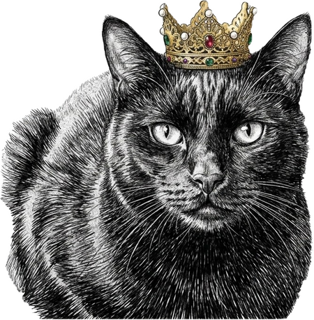 Royaler schwarzer Kater